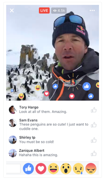 Facebook live 3.png