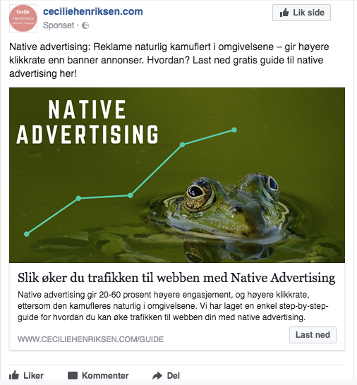 Native ads Facebook_7.png