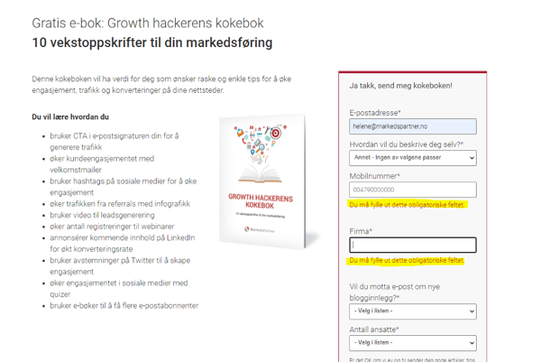 Eksempel-pa-validering