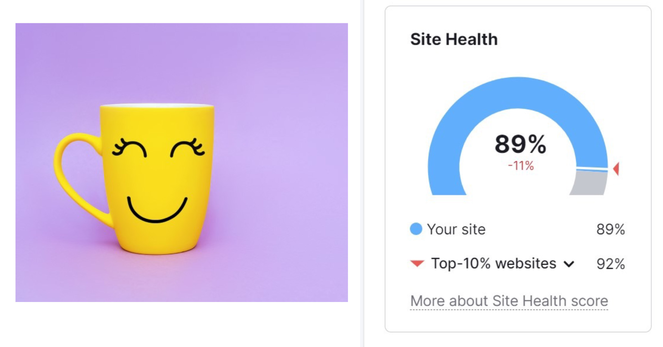 site audit