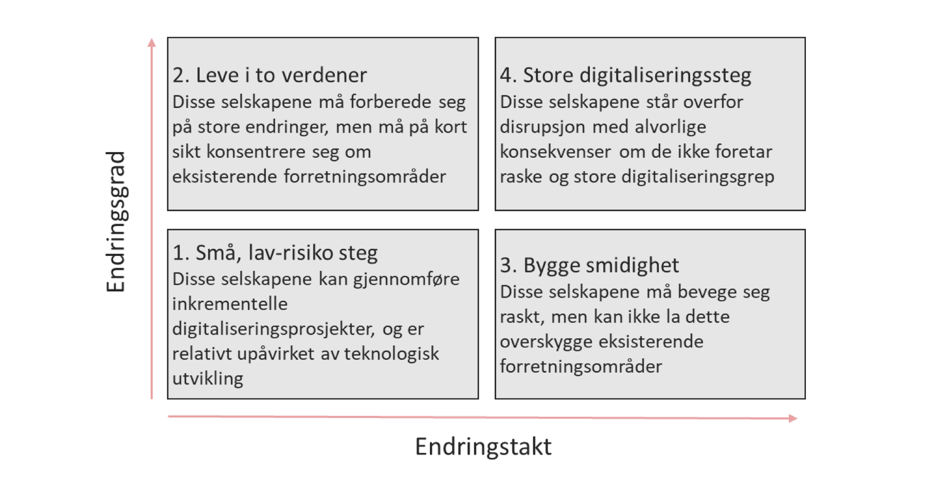 Digitalstrategi_hvordan_lykkes_i_en_analog_og_digital_verden