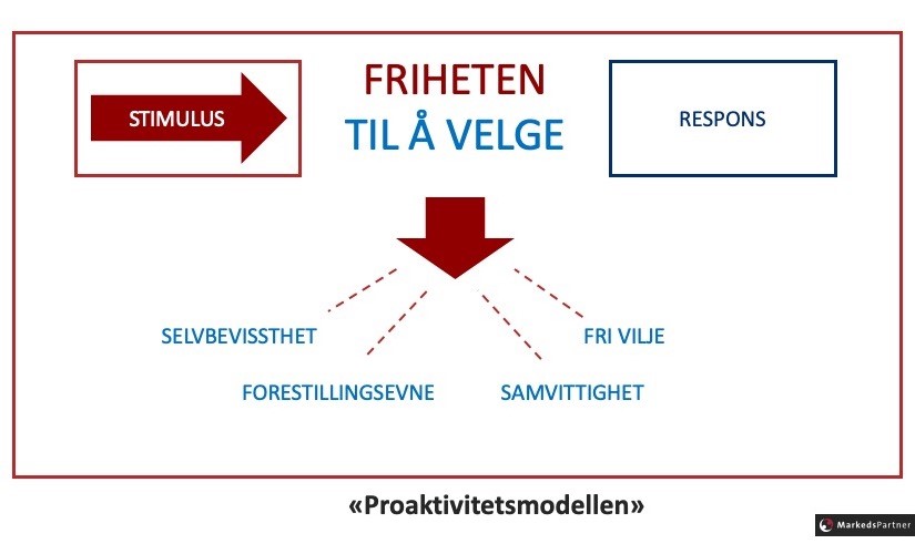 de_7_gode_vaner_til_de_mest_vellykkede_lederne_friheten_til_å_velge