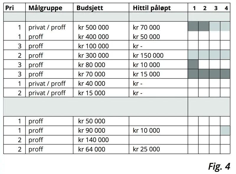 markedsplan-budsjett