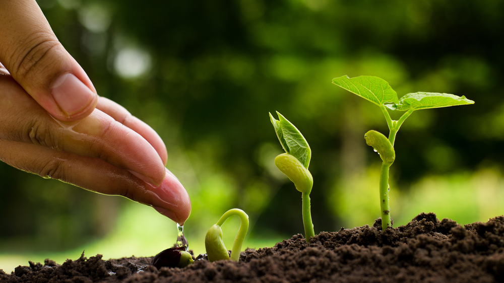 Hva_er_lead_nurturing-og_hvordan_kan_det_øke_salget