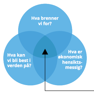 Hedgehog_Concept_innholdsstrategi