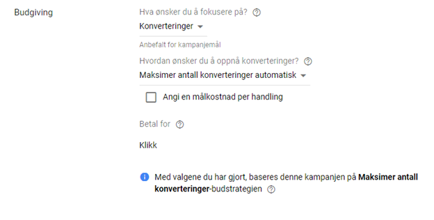 budstrategi-i-Google-Ads