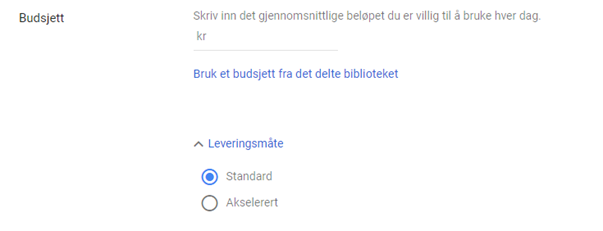 budsjett-i-Google-Ads